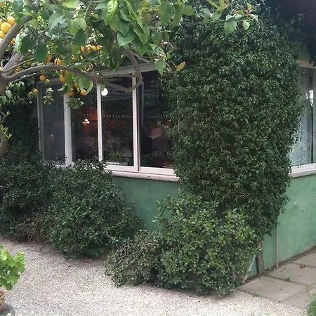 Alviani Anna Hotel