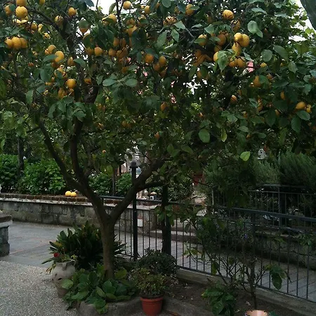 Alviani Anna 2* Sorrento